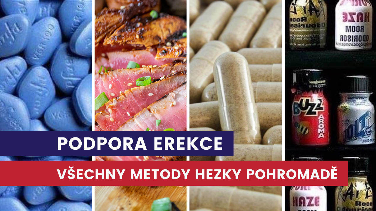 podpora erekce