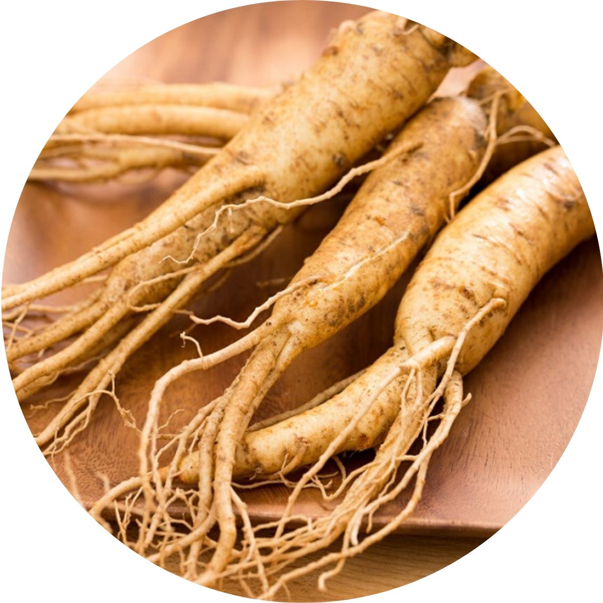 Panax ginseng, Ženšen pravý pro podporu erekce