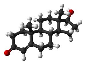 chemická väzba testosterónu