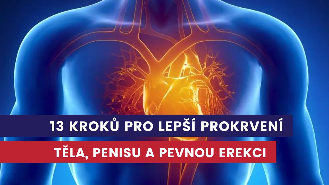 podpora prokrvení těla a penisu